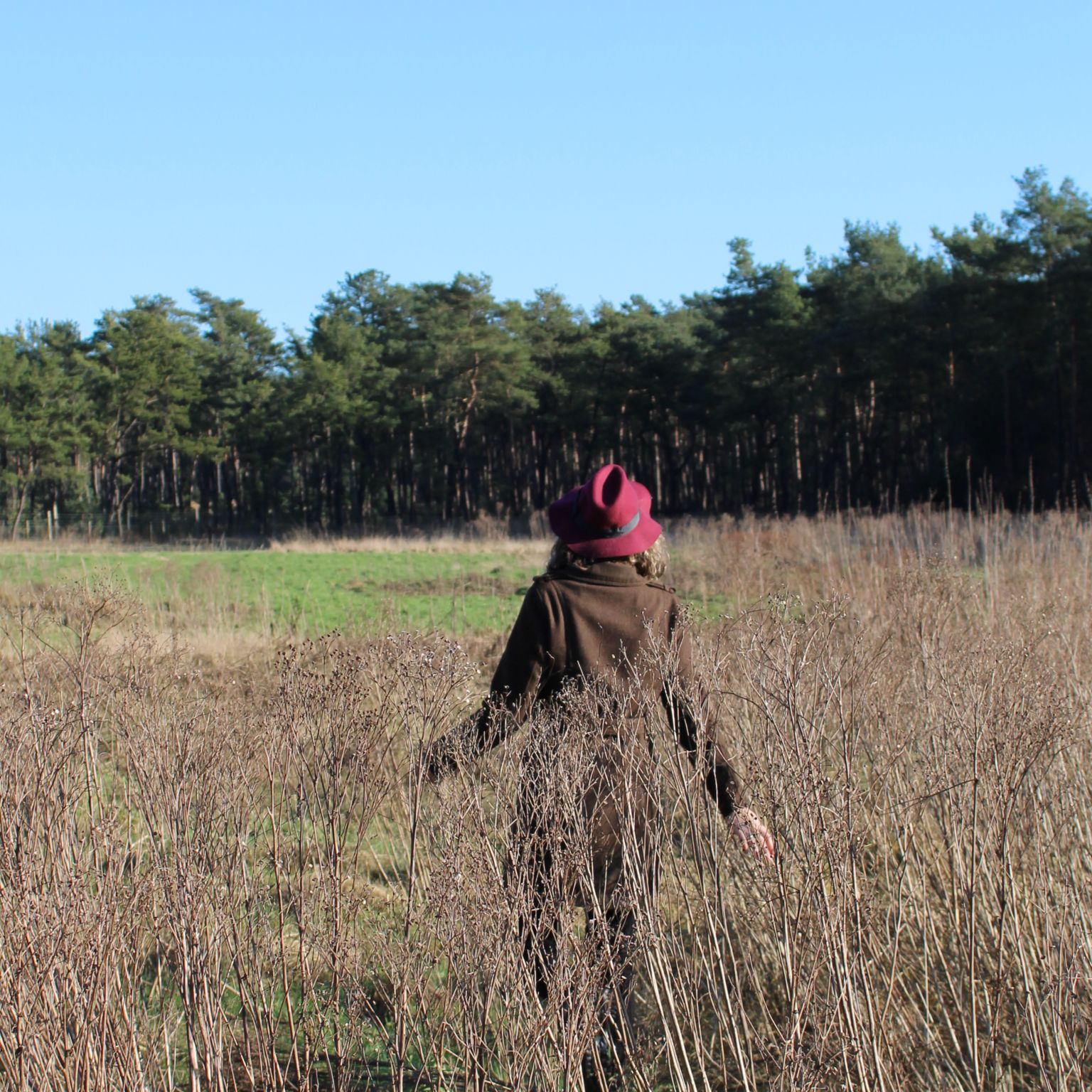 Elk nieuw begin