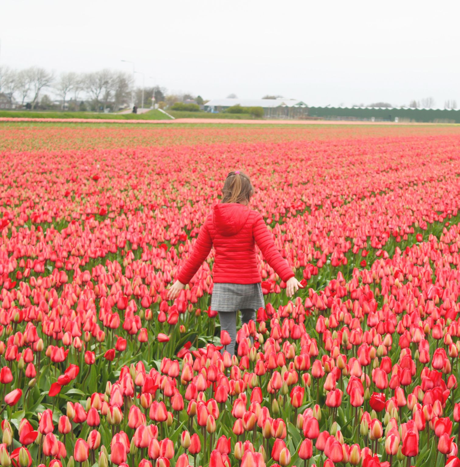Gemaakt om IMPACT te maken