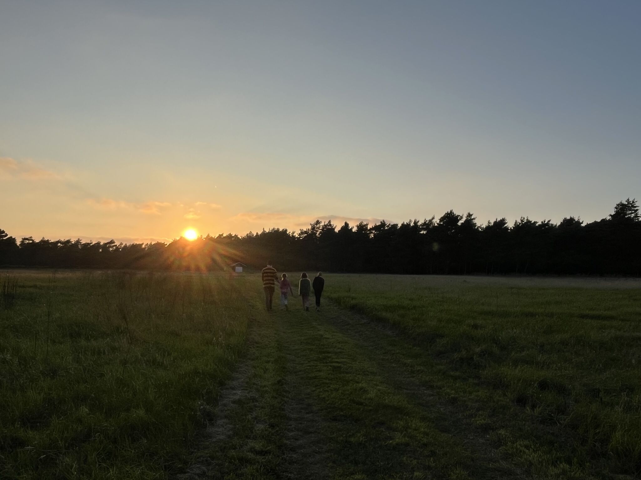 Wild kamperen