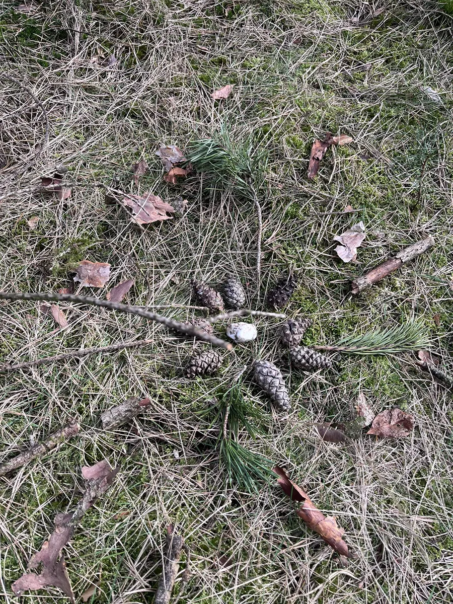 natuurschat